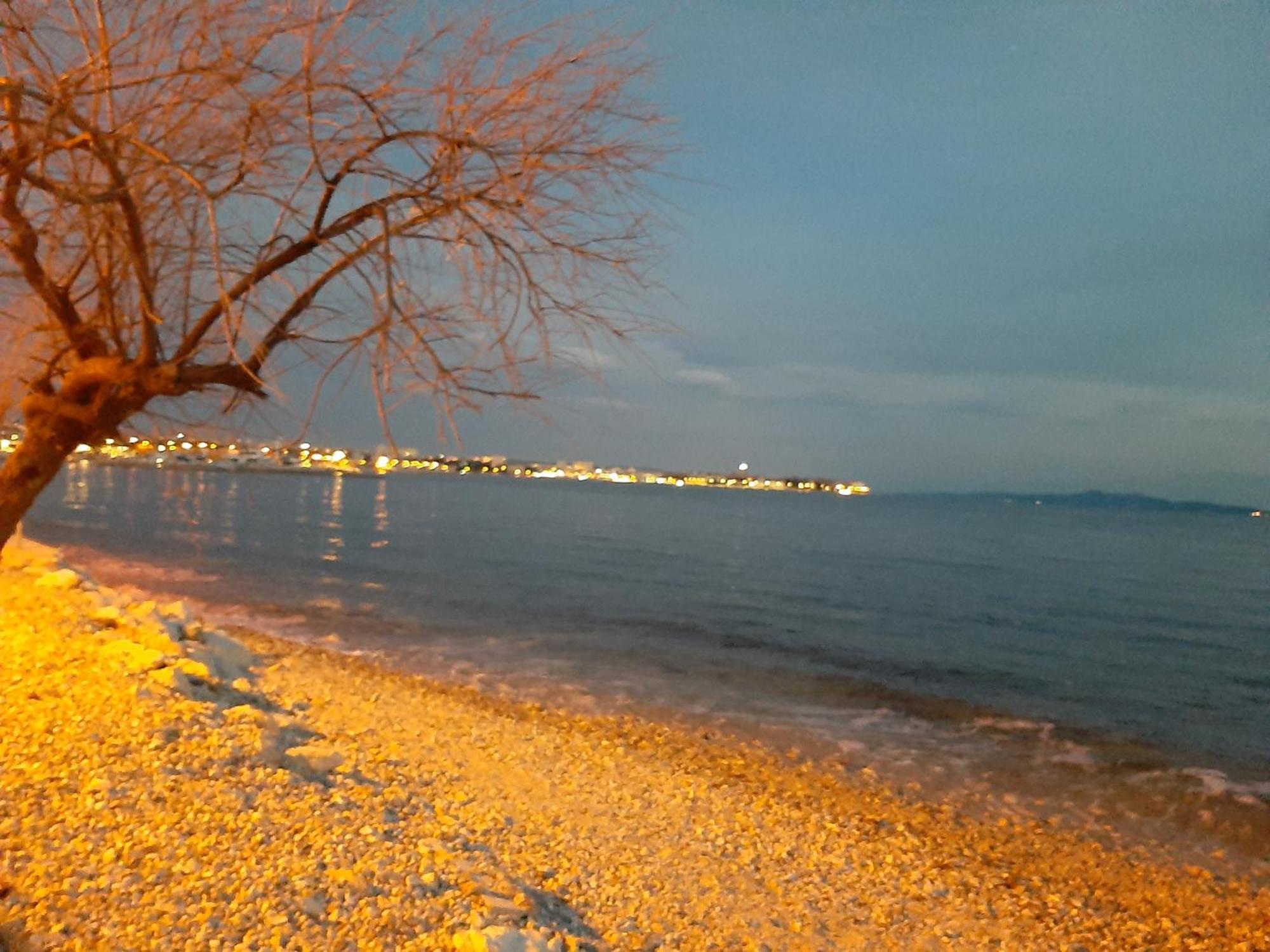 Villa Aurelia Zadar Luaran gambar